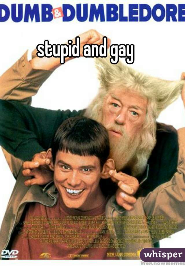 stupid and gay