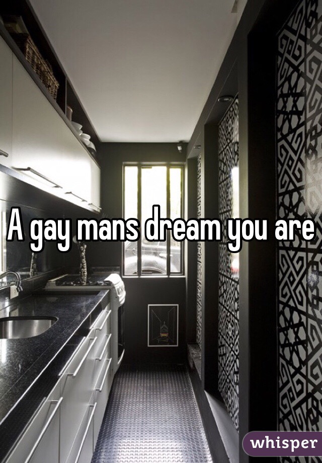 A gay mans dream you are 