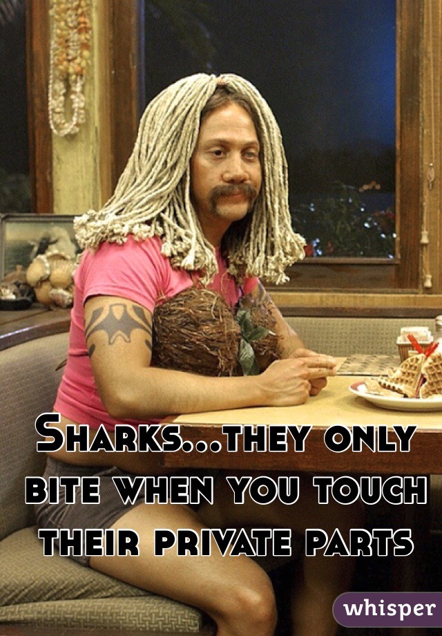 Sharks...they only bite when you touch their private parts