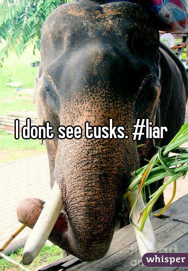 I dont see tusks. #liar 