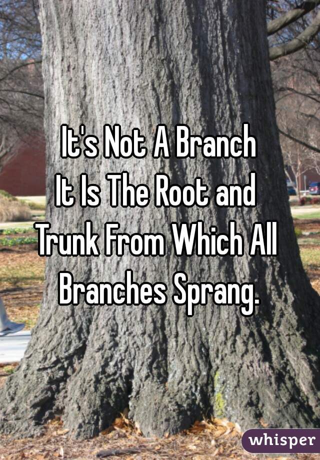 It's Not A Branch
It Is The Root and 
Trunk From Which All 
Branches Sprang.