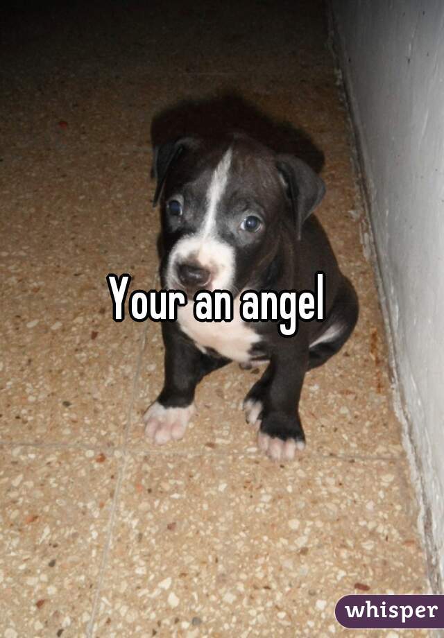 Your an angel 
