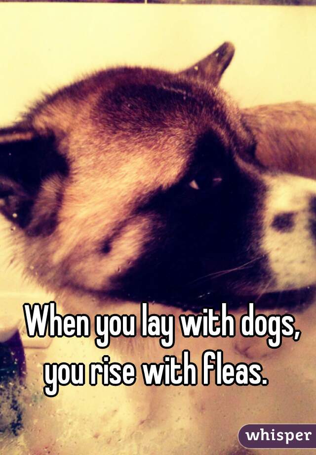 When you lay with dogs, you rise with fleas.   