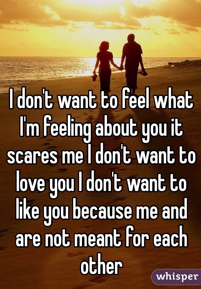 I don't want to feel what I'm feeling about you it scares me I don't want to love you I don't want to like you because me and are not meant for each other