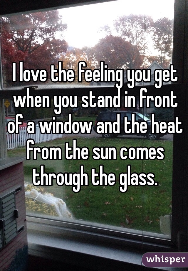 I love the feeling you get when you stand in front of a window and the heat from the sun comes through the glass.
