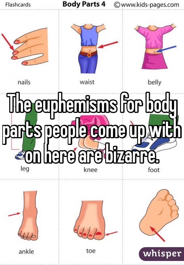 The euphemisms for body parts people come up with on here are bizarre.