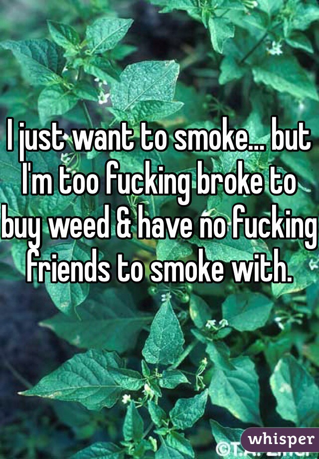I just want to smoke… but I'm too fucking broke to buy weed & have no fucking friends to smoke with. 