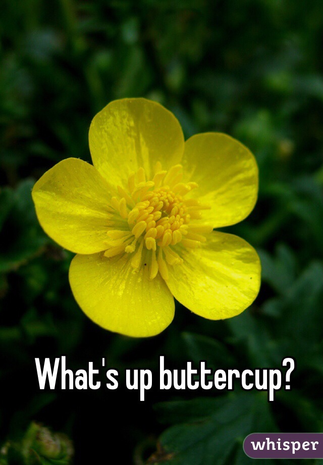 What's up buttercup? 