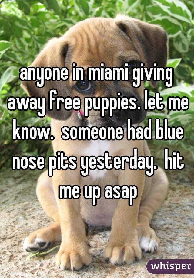 anyone in miami giving away free puppies. let me know.  someone had blue nose pits yesterday.  hit me up asap
