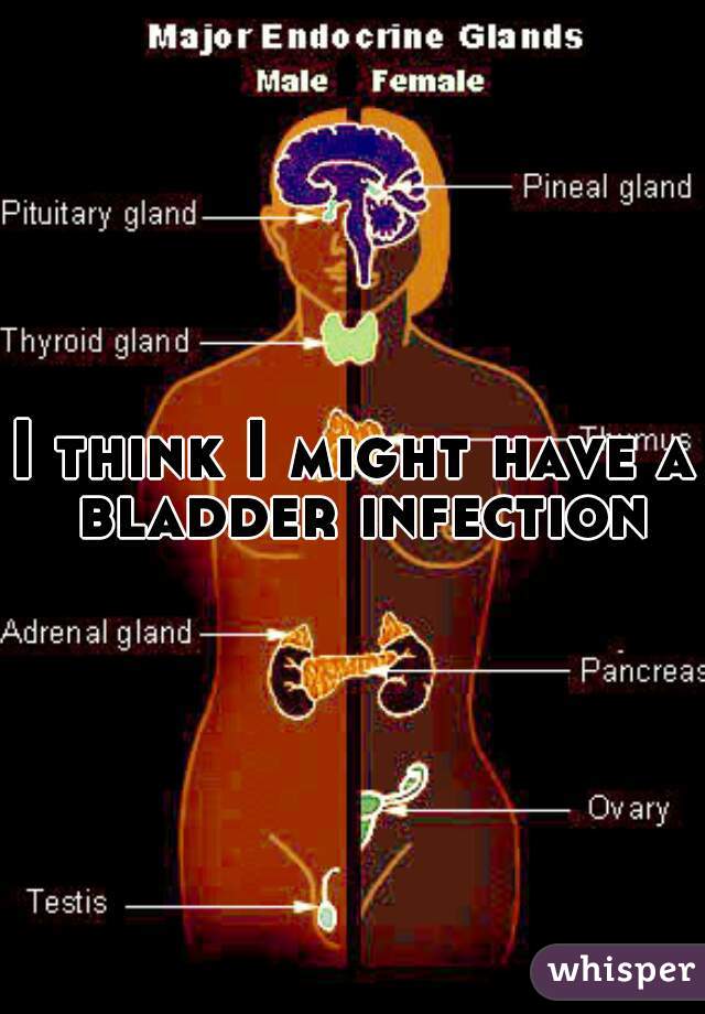 I think I might have a bladder infection