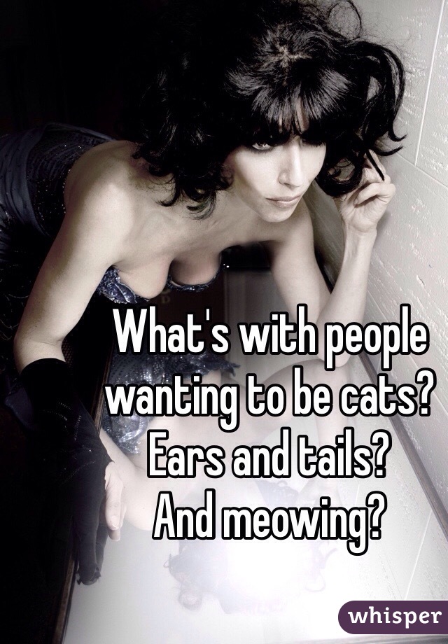 What's with people wanting to be cats? 
Ears and tails? 
And meowing?