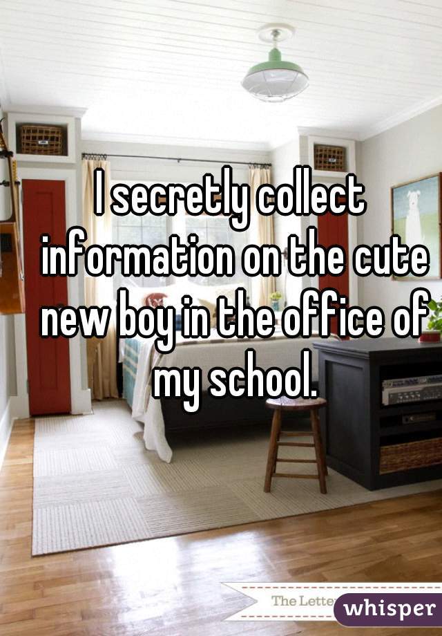 I secretly collect information on the cute new boy in the office of my school.