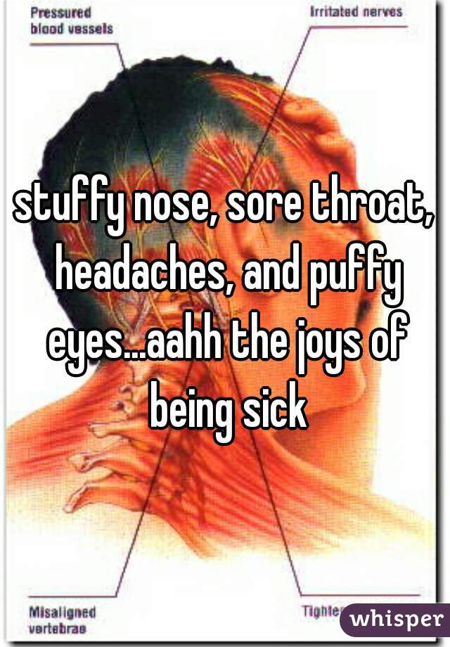 stuffy nose, sore throat, headaches, and puffy eyes...aahh the joys of being sick