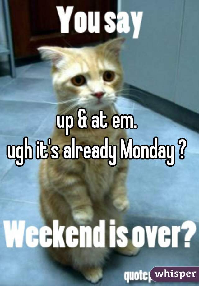 up & at em. 
ugh it's already Monday ? 