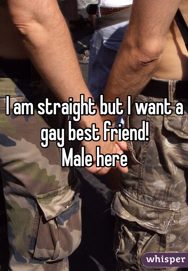 I am straight but I want a gay best friend! 
Male here