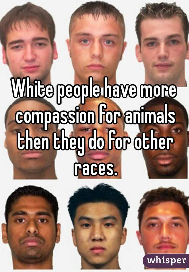 White people have more compassion for animals then they do for other races.