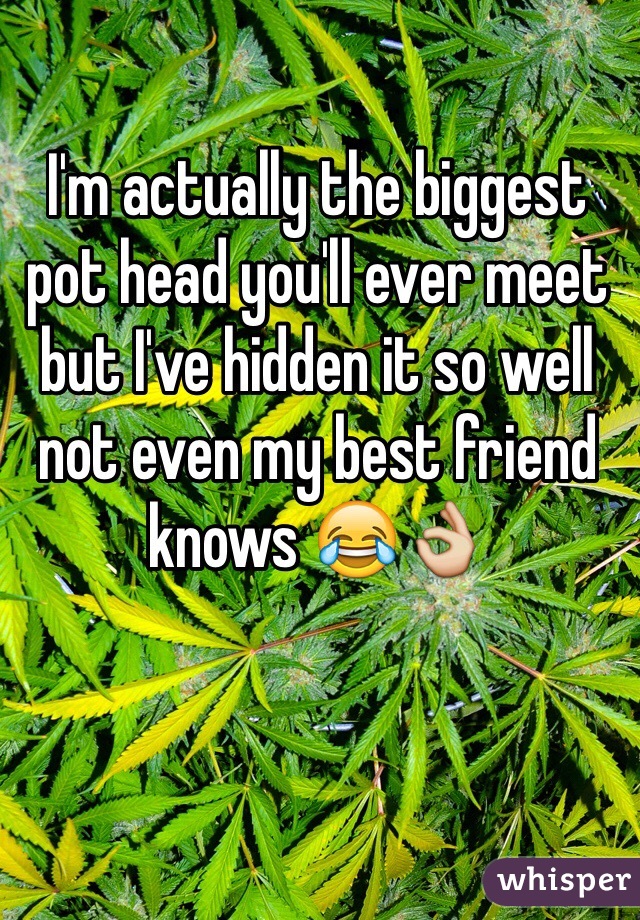 I'm actually the biggest pot head you'll ever meet but I've hidden it so well not even my best friend knows 😂👌