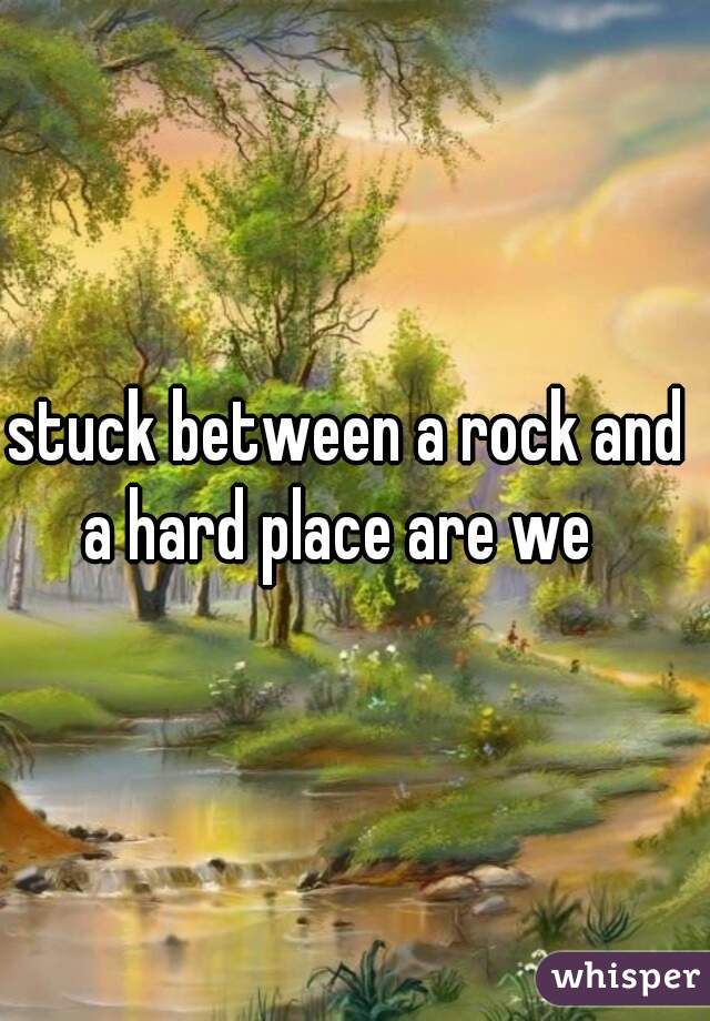 stuck between a rock and 
a hard place are we  