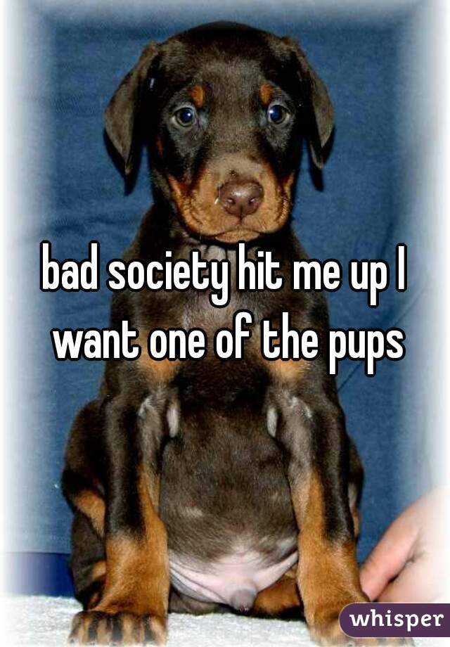 bad society hit me up I want one of the pups