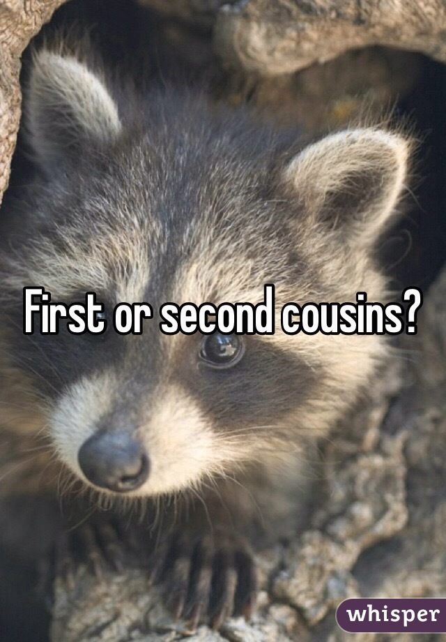 First or second cousins?