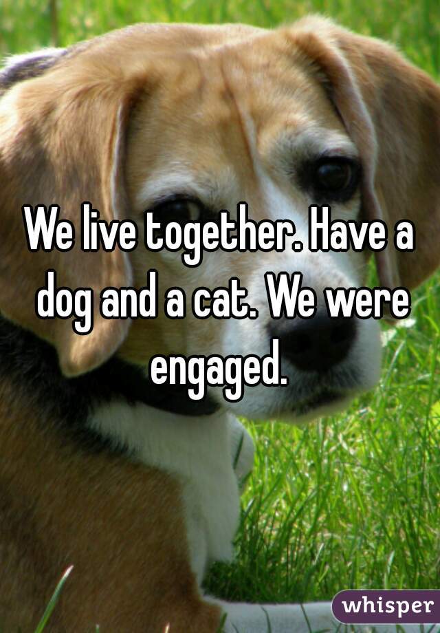 We live together. Have a dog and a cat. We were engaged. 