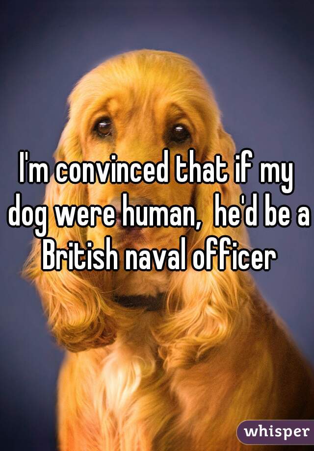I'm convinced that if my dog were human,  he'd be a British naval officer