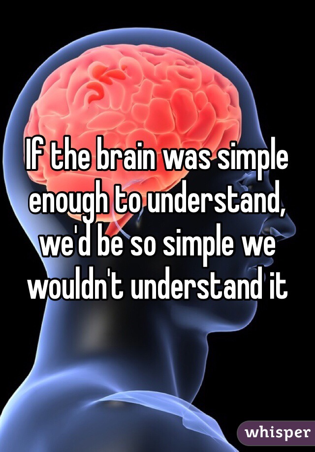 If the brain was simple enough to understand, we'd be so simple we wouldn't understand it