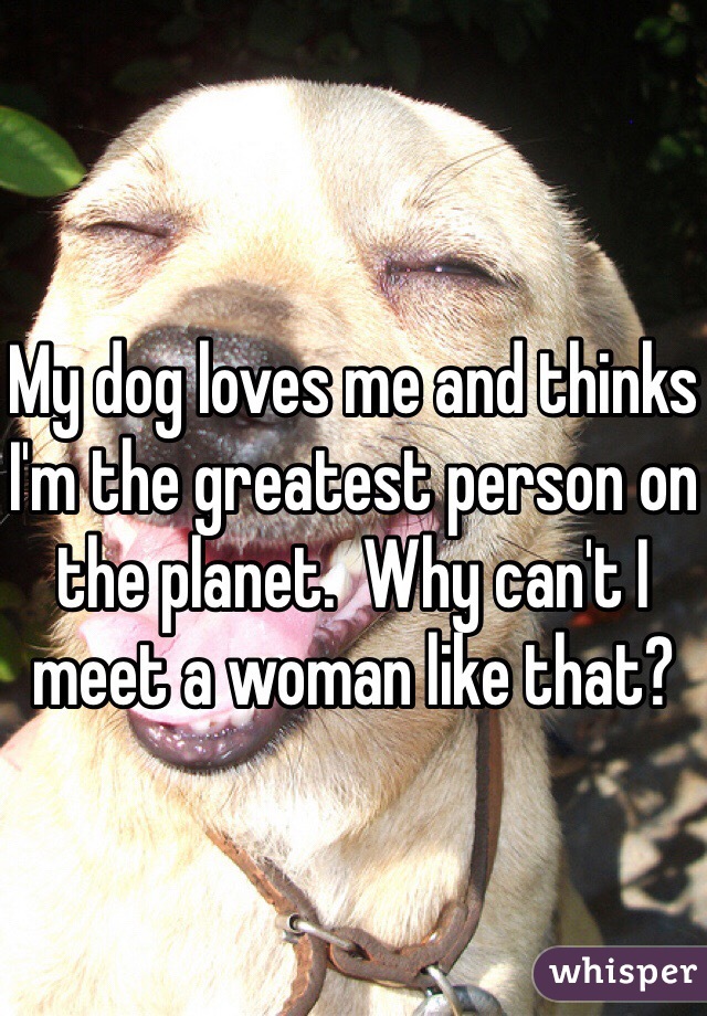 My dog loves me and thinks I'm the greatest person on the planet.  Why can't I meet a woman like that?