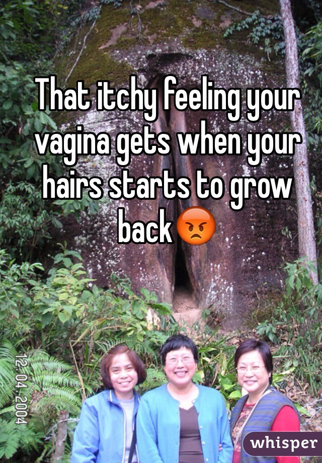 That itchy feeling your vagina gets when your hairs starts to grow back😡 