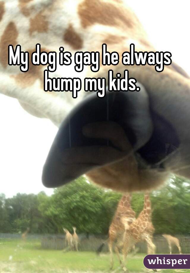 My dog is gay he always hump my kids.