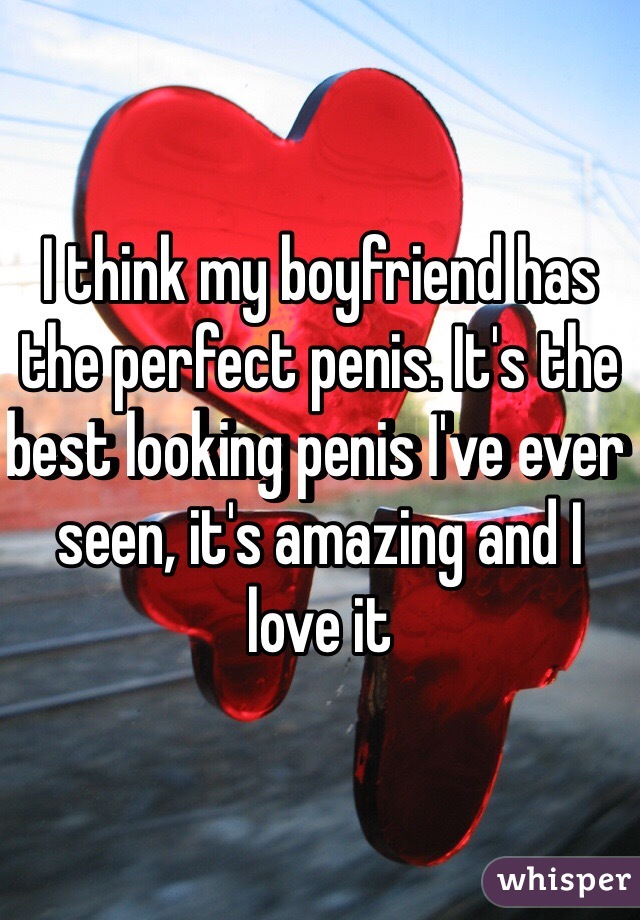 I think my boyfriend has the perfect penis. It's the best looking penis I've ever seen, it's amazing and I love it