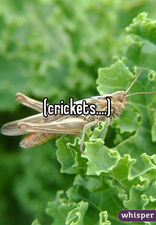 (crickets....)