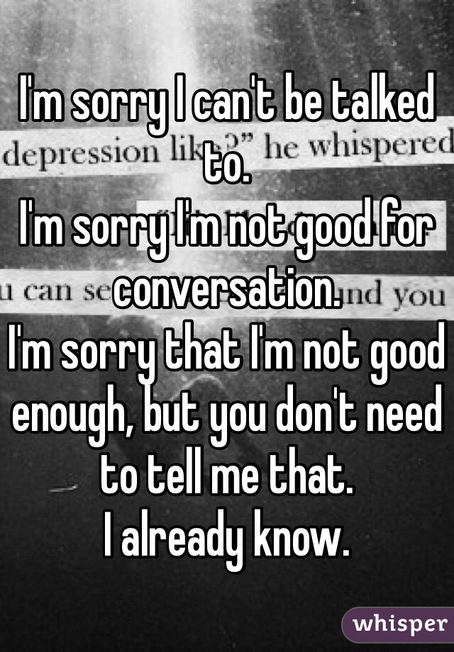 I'm sorry I can't be talked to.
I'm sorry I'm not good for conversation.
I'm sorry that I'm not good enough, but you don't need to tell me that.
I already know.