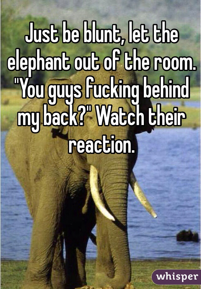 Just be blunt, let the elephant out of the room. "You guys fucking behind my back?" Watch their reaction.