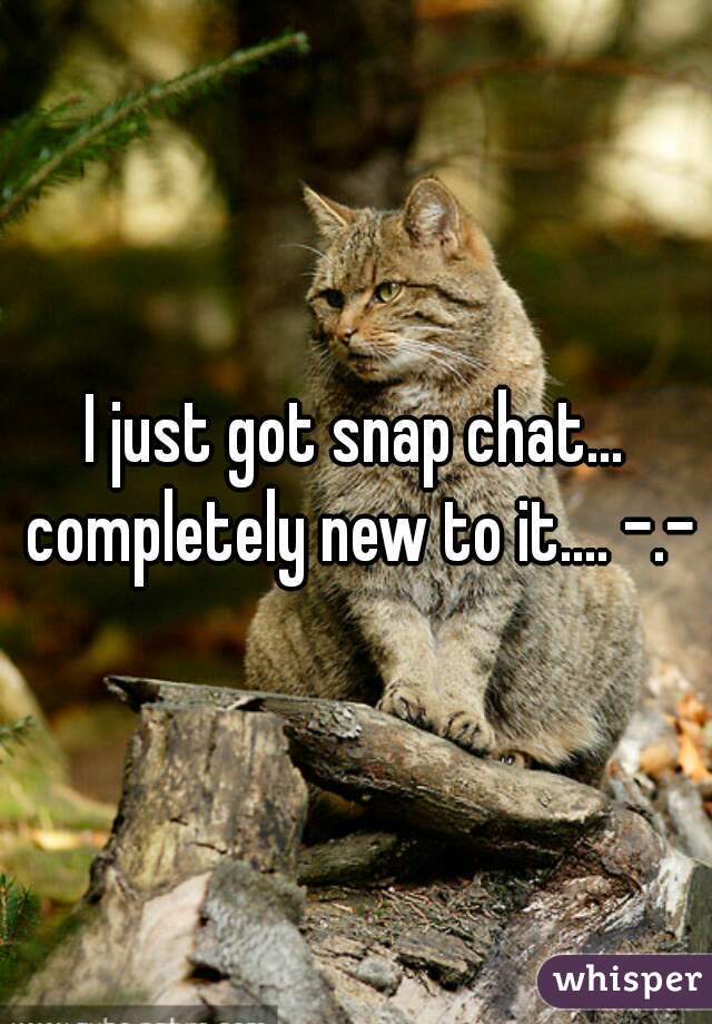 I just got snap chat... completely new to it.... -.-