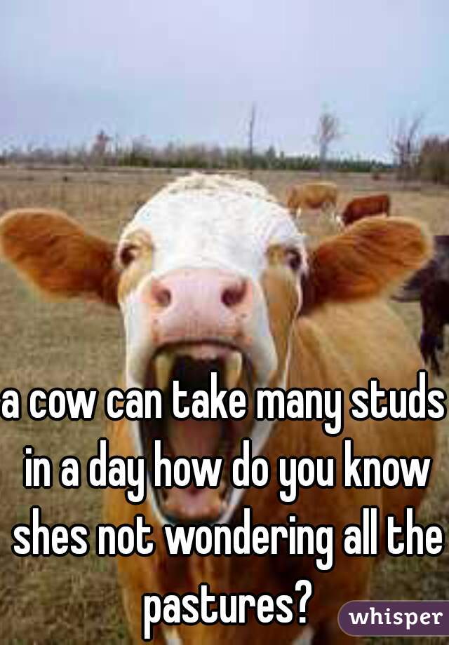 a cow can take many studs in a day how do you know shes not wondering all the pastures?