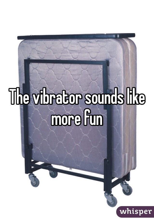 The vibrator sounds like more fun