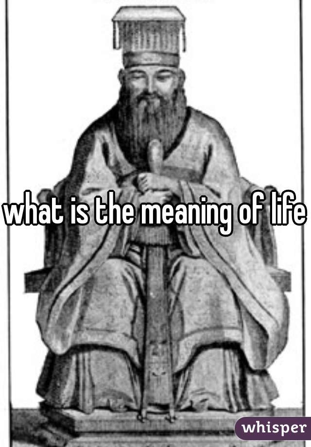 what is the meaning of life