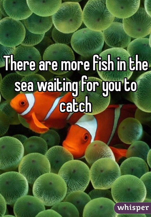 There are more fish in the sea waiting for you to catch 