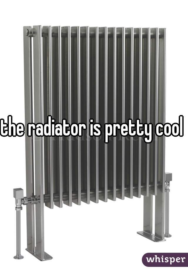 the radiator is pretty cool 