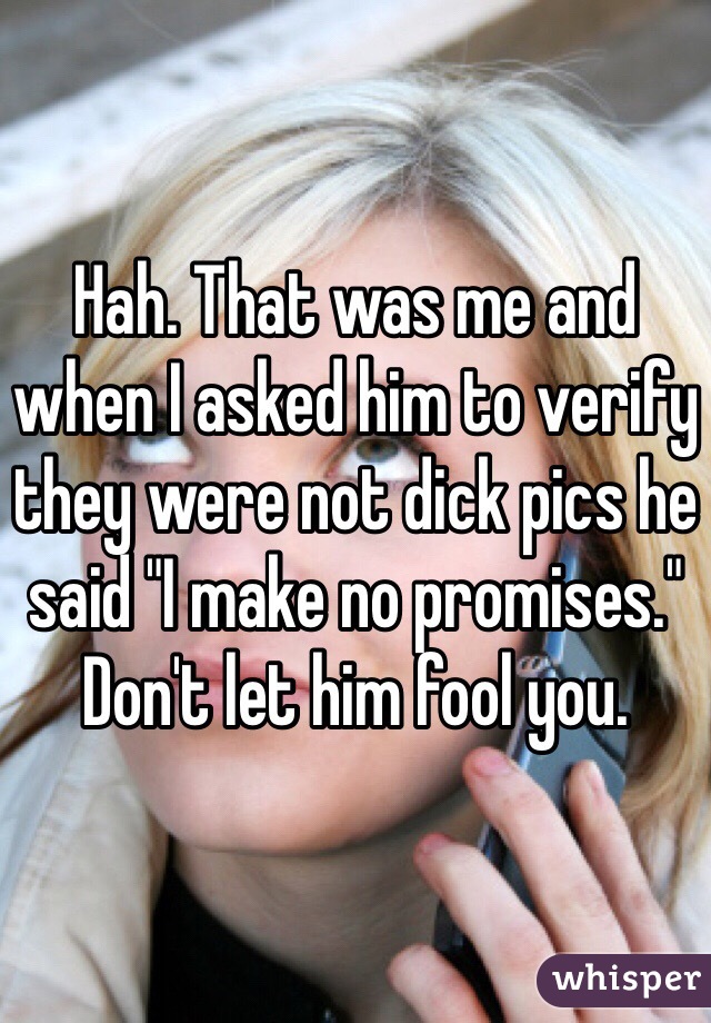 Hah. That was me and when I asked him to verify they were not dick pics he said "I make no promises." Don't let him fool you. 