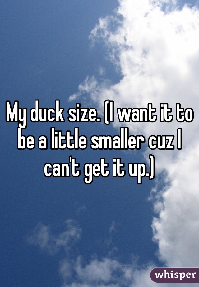 My duck size. (I want it to be a little smaller cuz I can't get it up.) 
