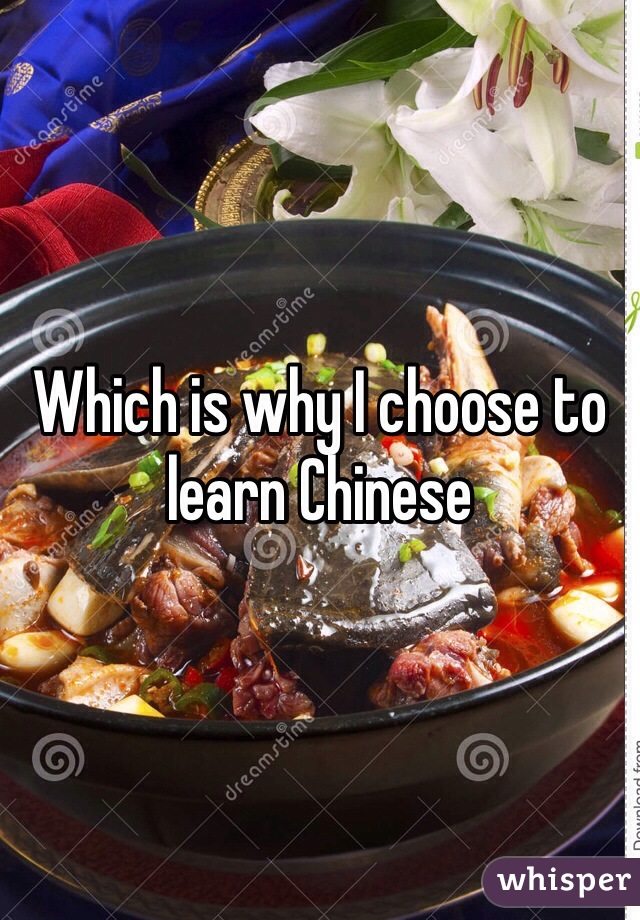 Which is why I choose to learn Chinese