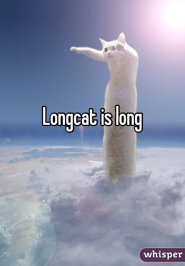 Longcat is long
