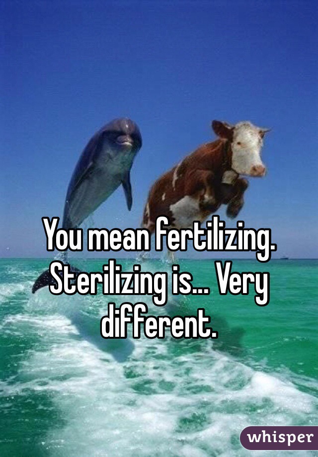 You mean fertilizing. Sterilizing is... Very different. 