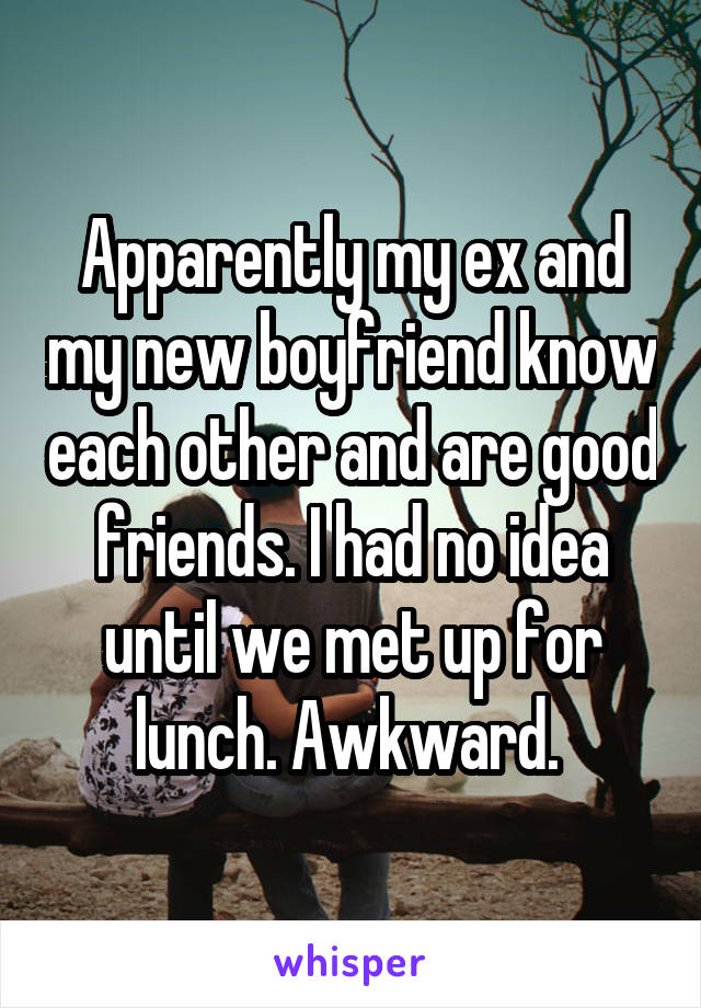 Apparently my ex and my new boyfriend know each other and are good friends. I had no idea until we met up for lunch. Awkward. 