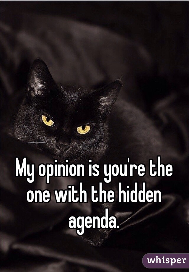 My opinion is you're the one with the hidden agenda.