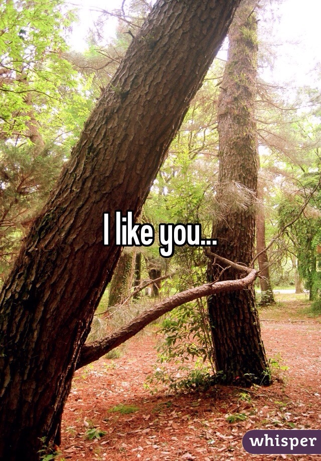 I like you... 