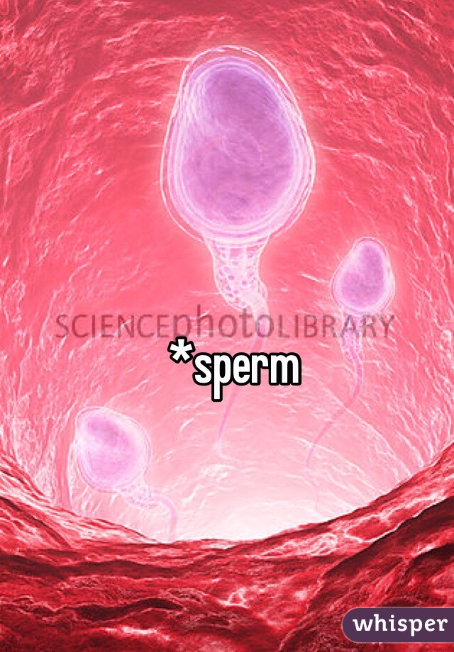 *sperm 