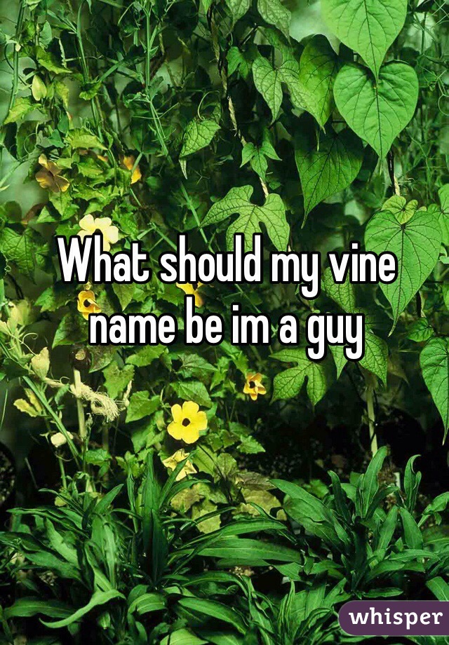 What should my vine name be im a guy 